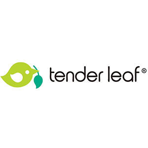 Tender Leaf Toys