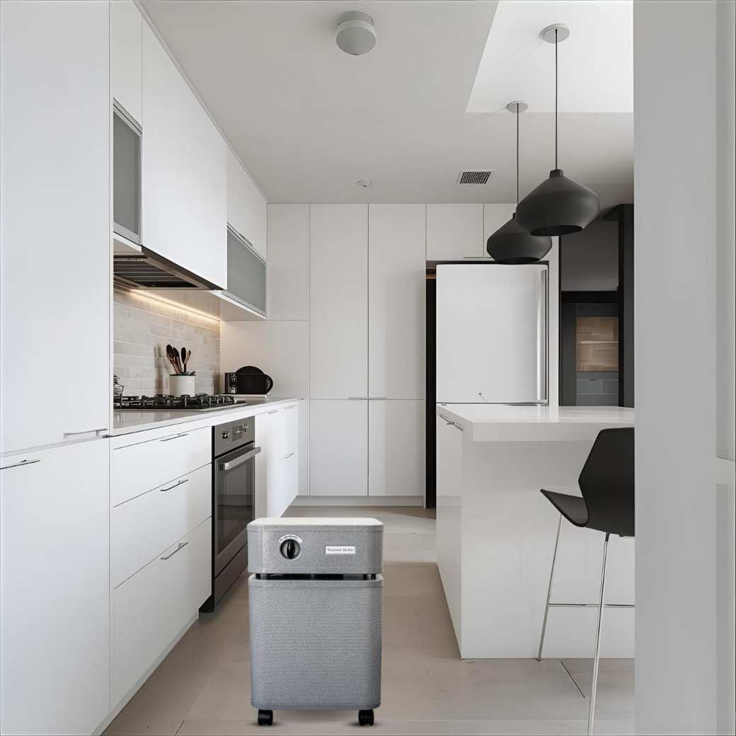 Immunity Air Purifier