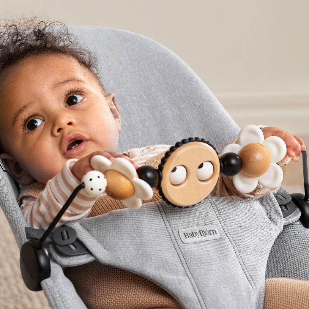 Toy For Bouncer