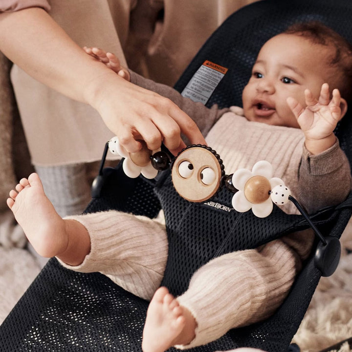 Toy For Bouncer
