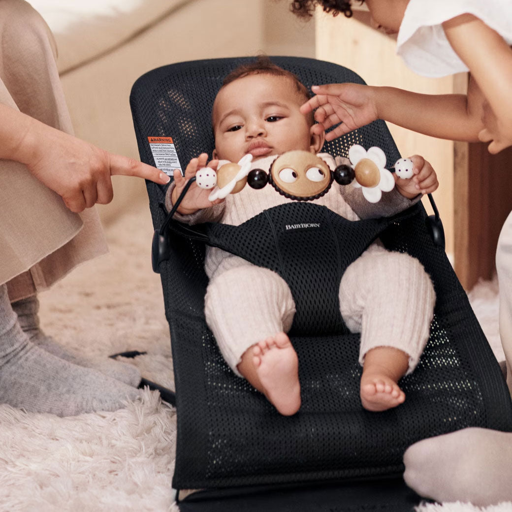 Toy For Bouncer