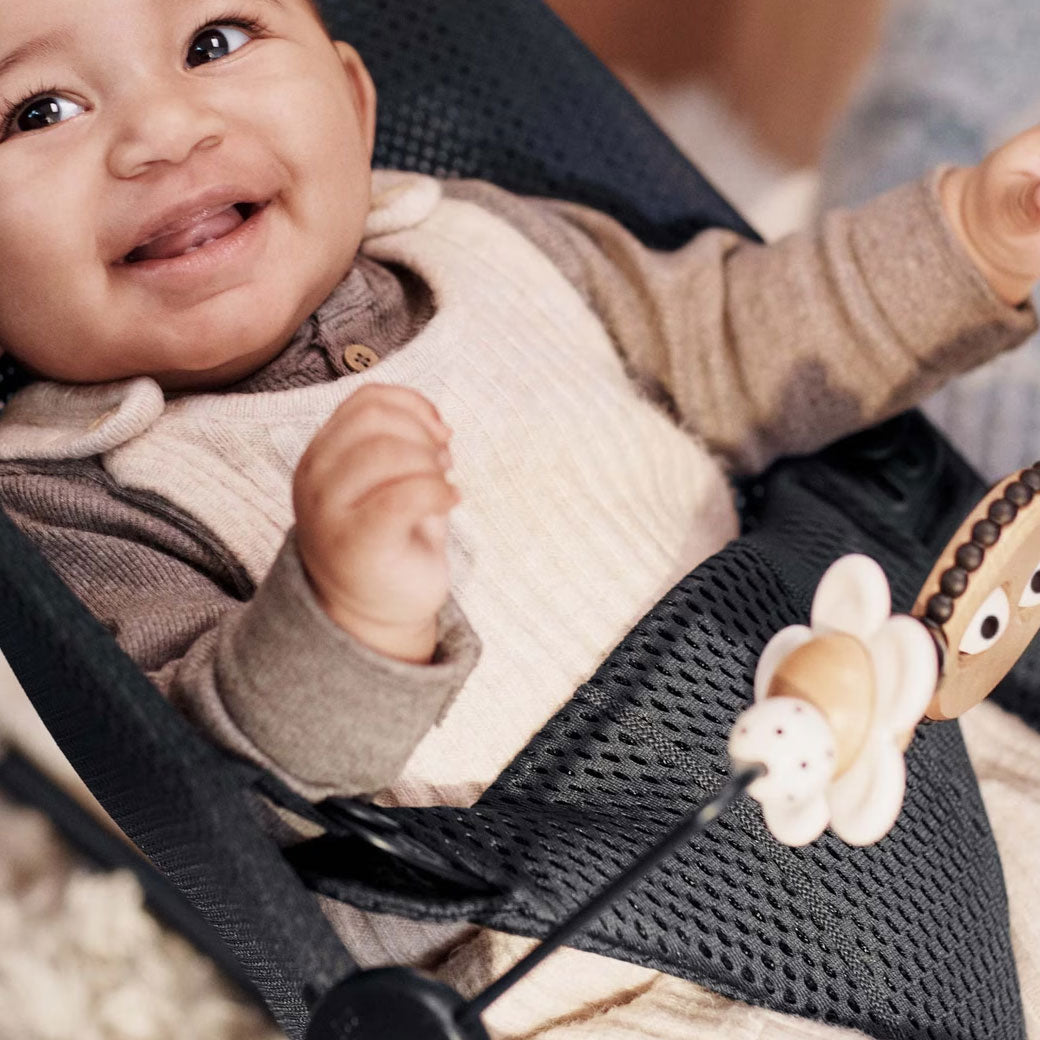 Toy For Bouncer