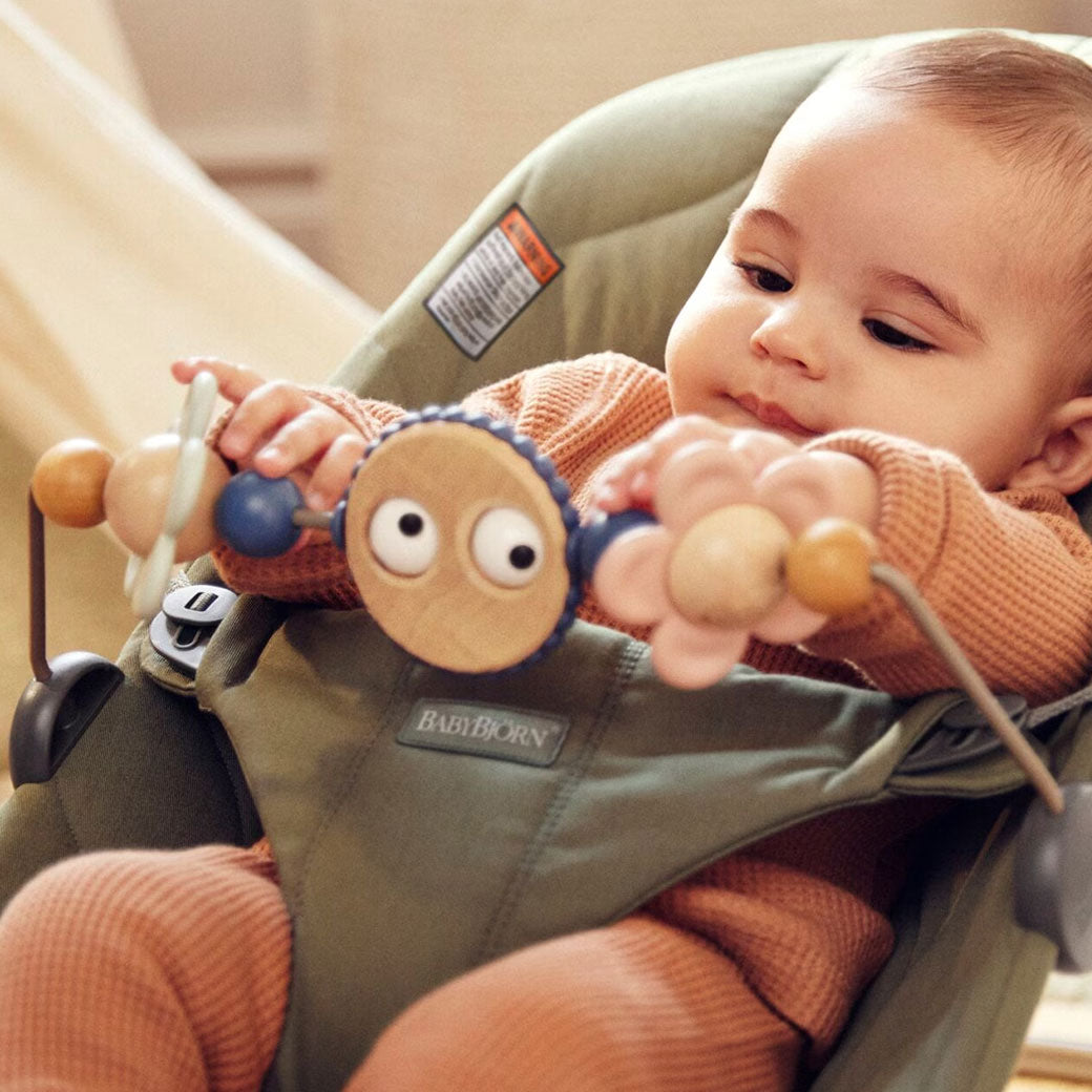 Toy For Bouncer