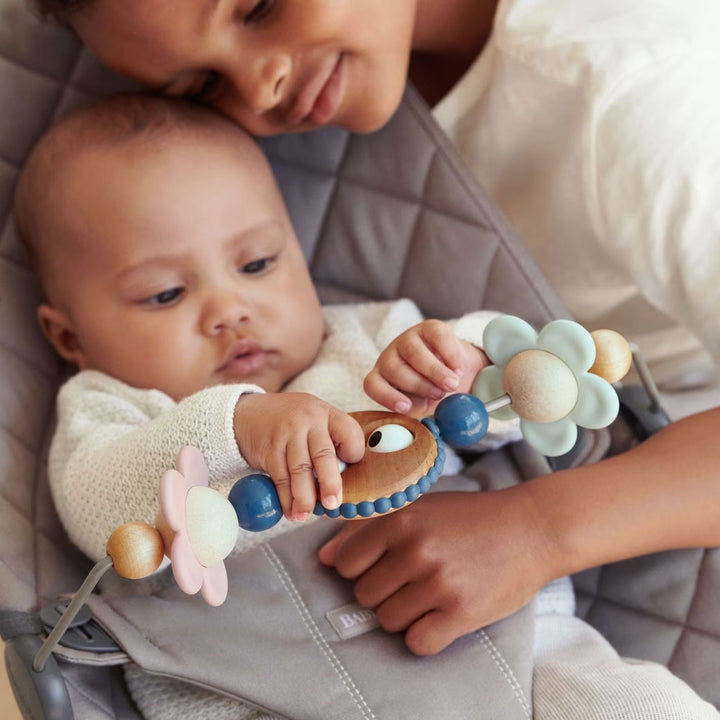 Toy For Bouncer