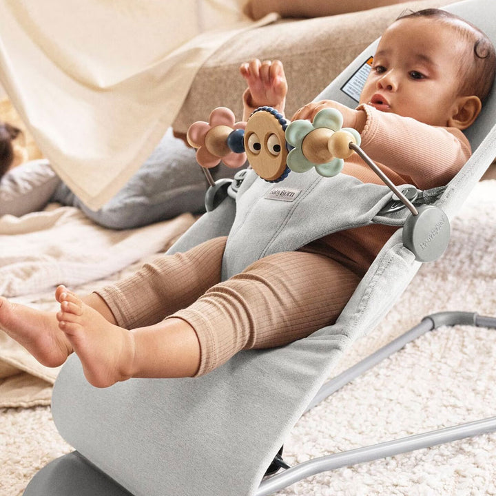 Toy For Bouncer