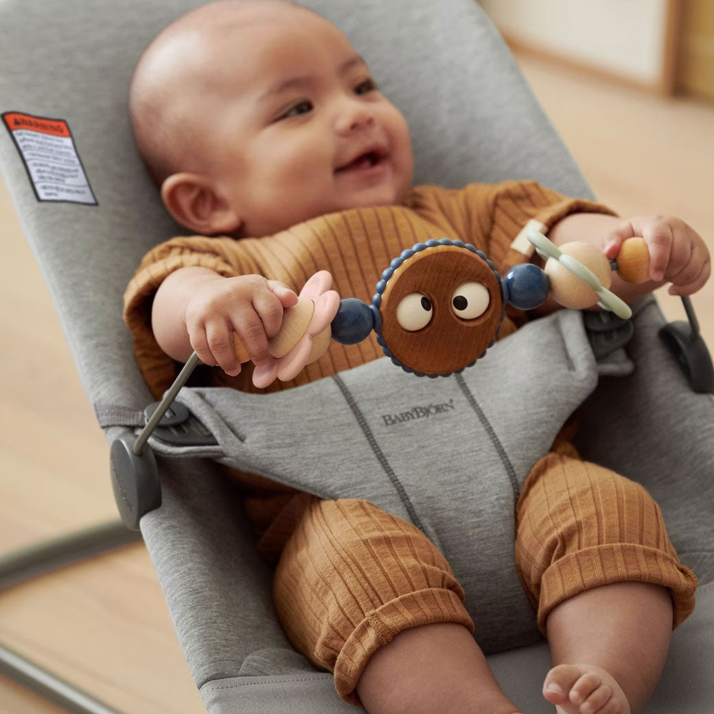 Toy For Bouncer