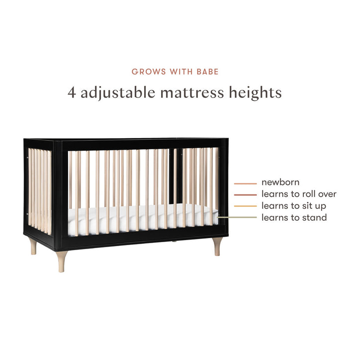 Lolly 3-in-1 Convertible Crib + Toddler Bed Conversion Kit