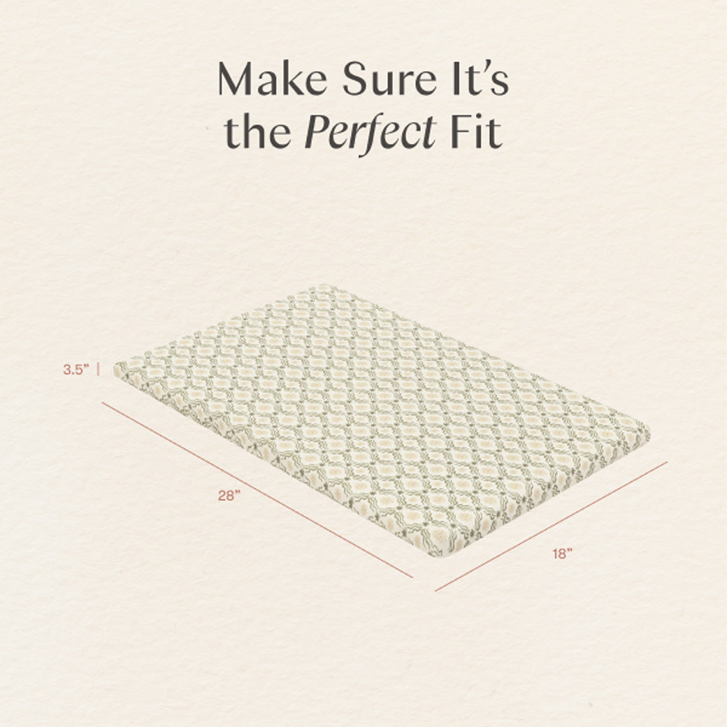 All-Stages Bassinet Sheet in GOTS Certified Organic Brushed Cotton