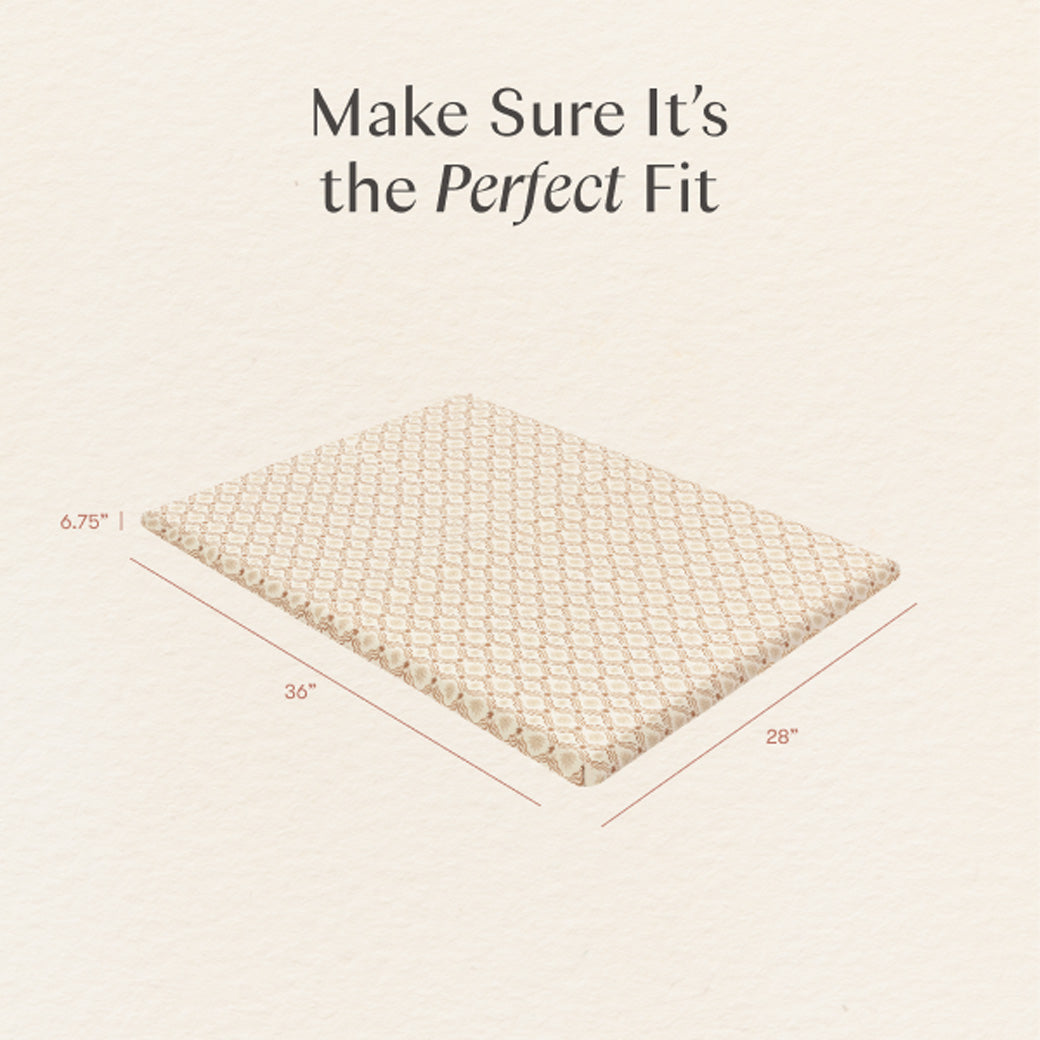 All-Stages Midi Crib Sheet in GOTS Certified Organic Brushed Cotton