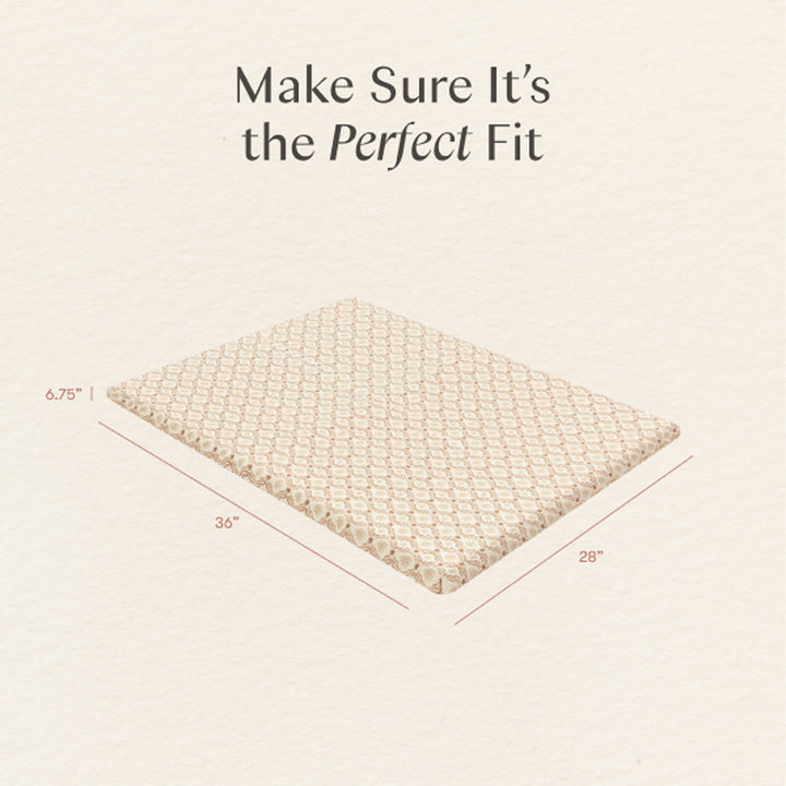 All-Stages Midi Crib Sheet in GOTS Certified Organic Brushed Cotton