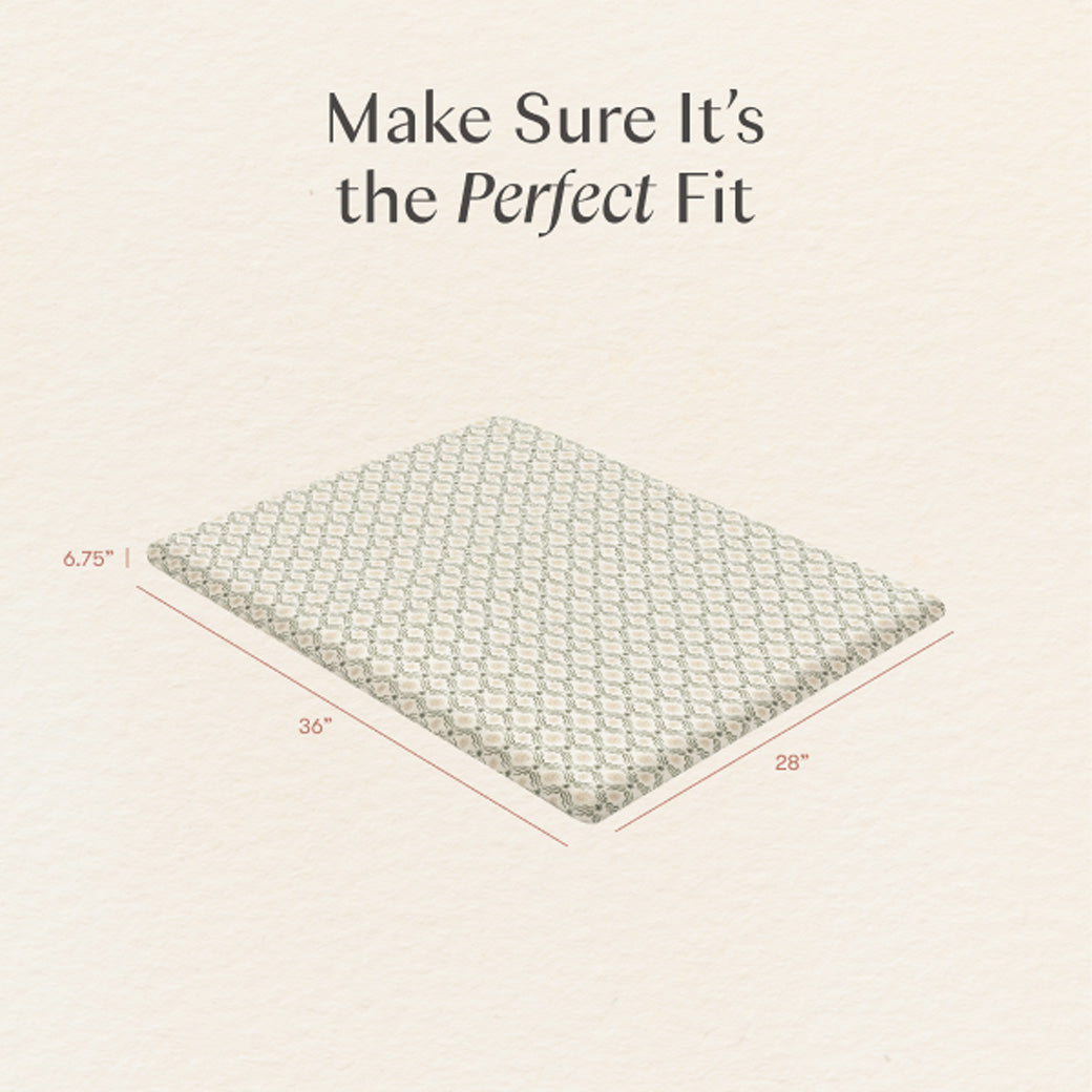 All-Stages Midi Crib Sheet in GOTS Certified Organic Brushed Cotton
