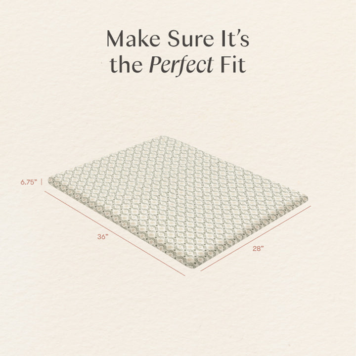 All-Stages Midi Crib Sheet in GOTS Certified Organic Brushed Cotton
