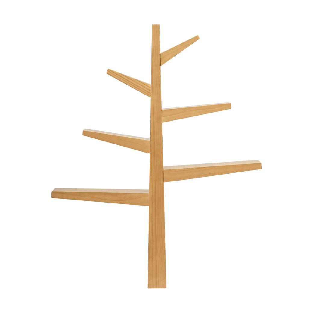 Spruce Tree Bookcase