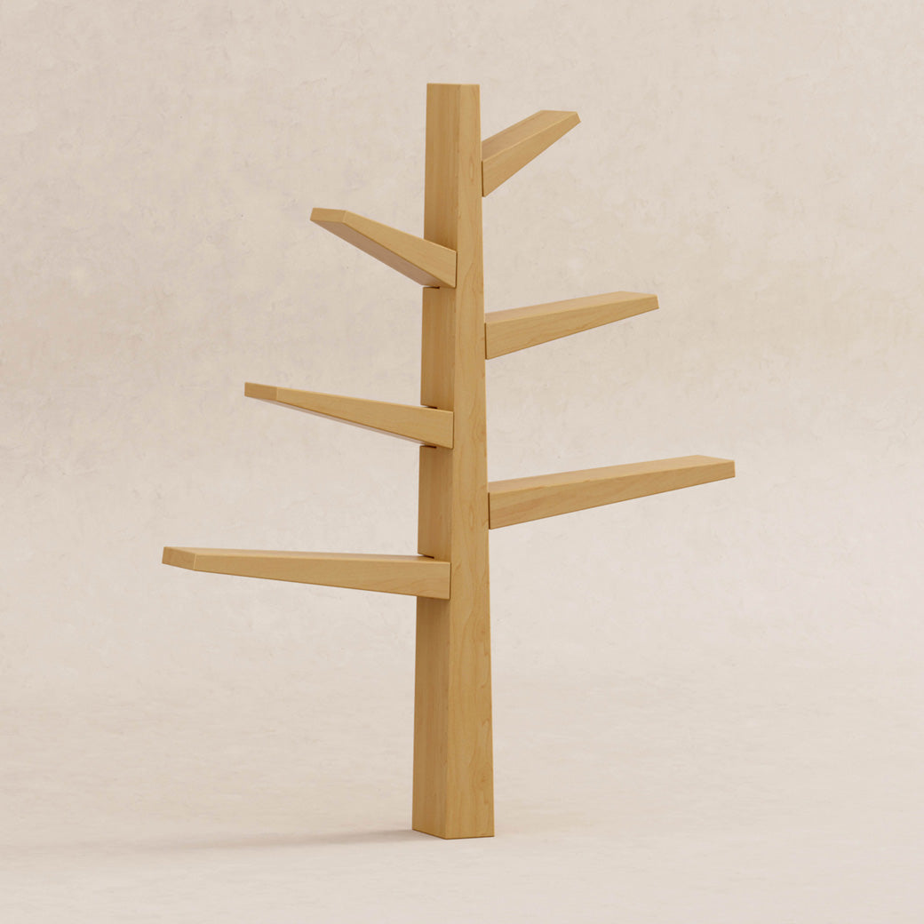 Spruce Tree Bookcase