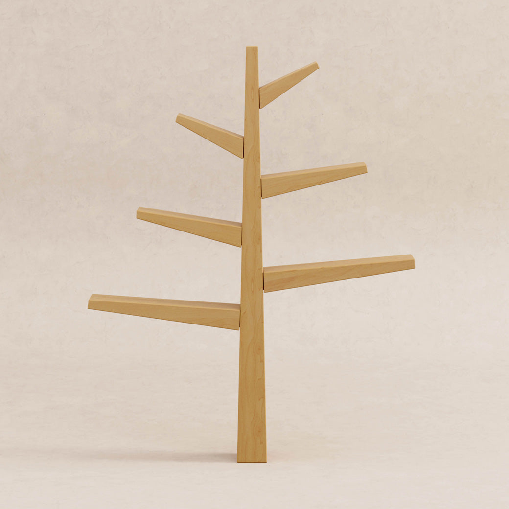 Spruce Tree Bookcase