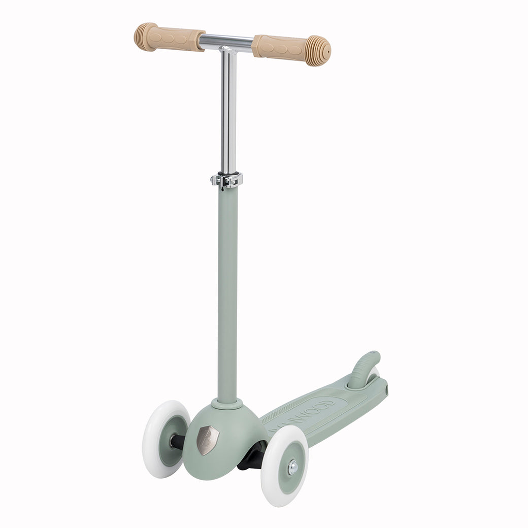 Eco Scooter