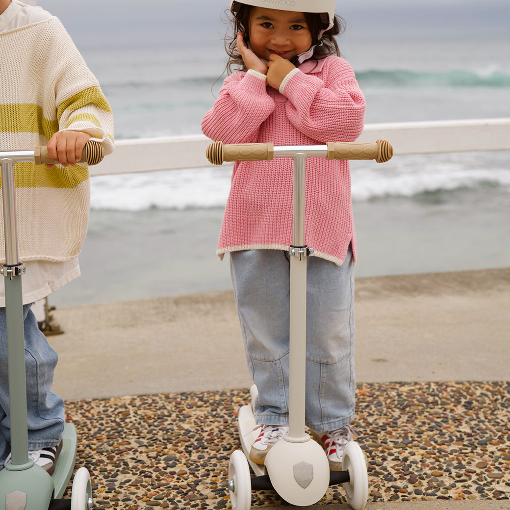 Eco Scooter