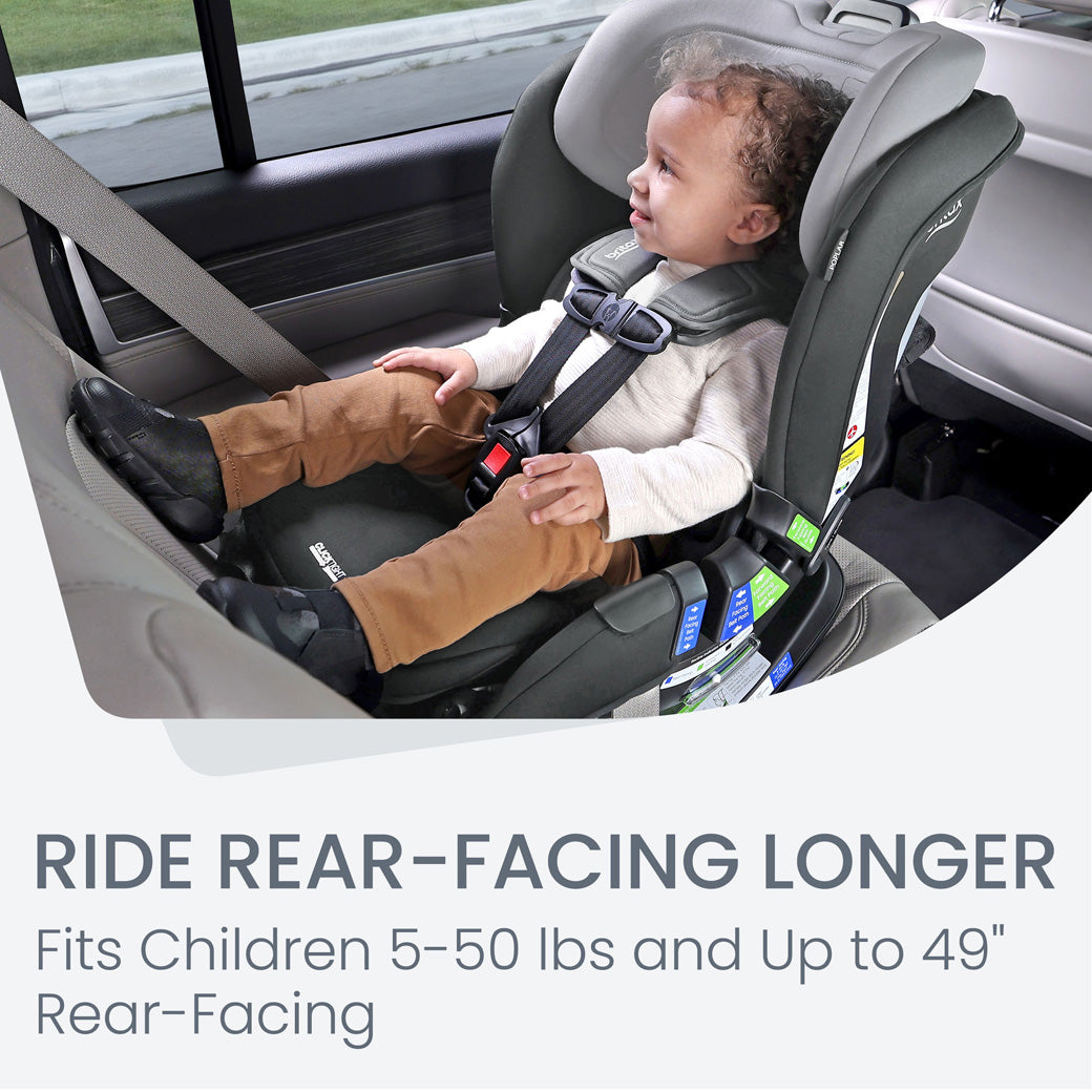 Poplar Convertible Car Seat