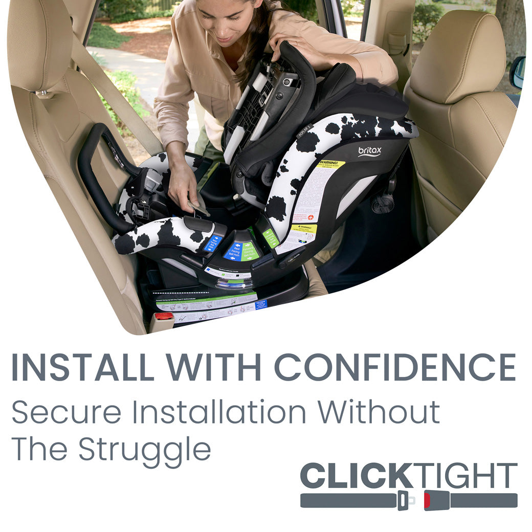 Poplar S Convertible Car Seat