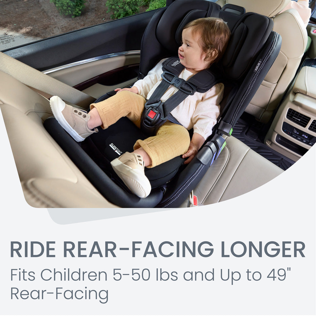Poplar S Convertible Car Seat