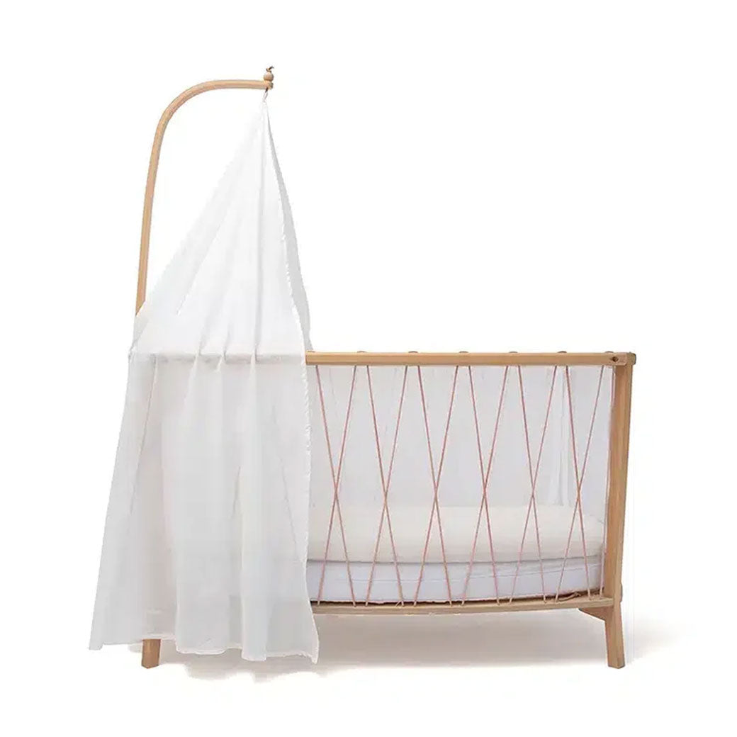 KIMI Canopy