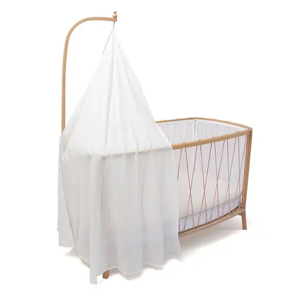 KIMI Canopy
