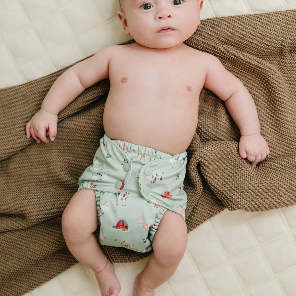 Diaper Inner Snap + Diaper Outer Bundle