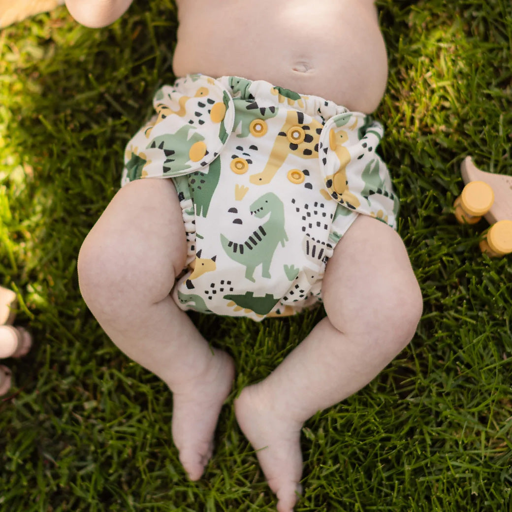 Diaper Inner Snap + Diaper Outer Bundle