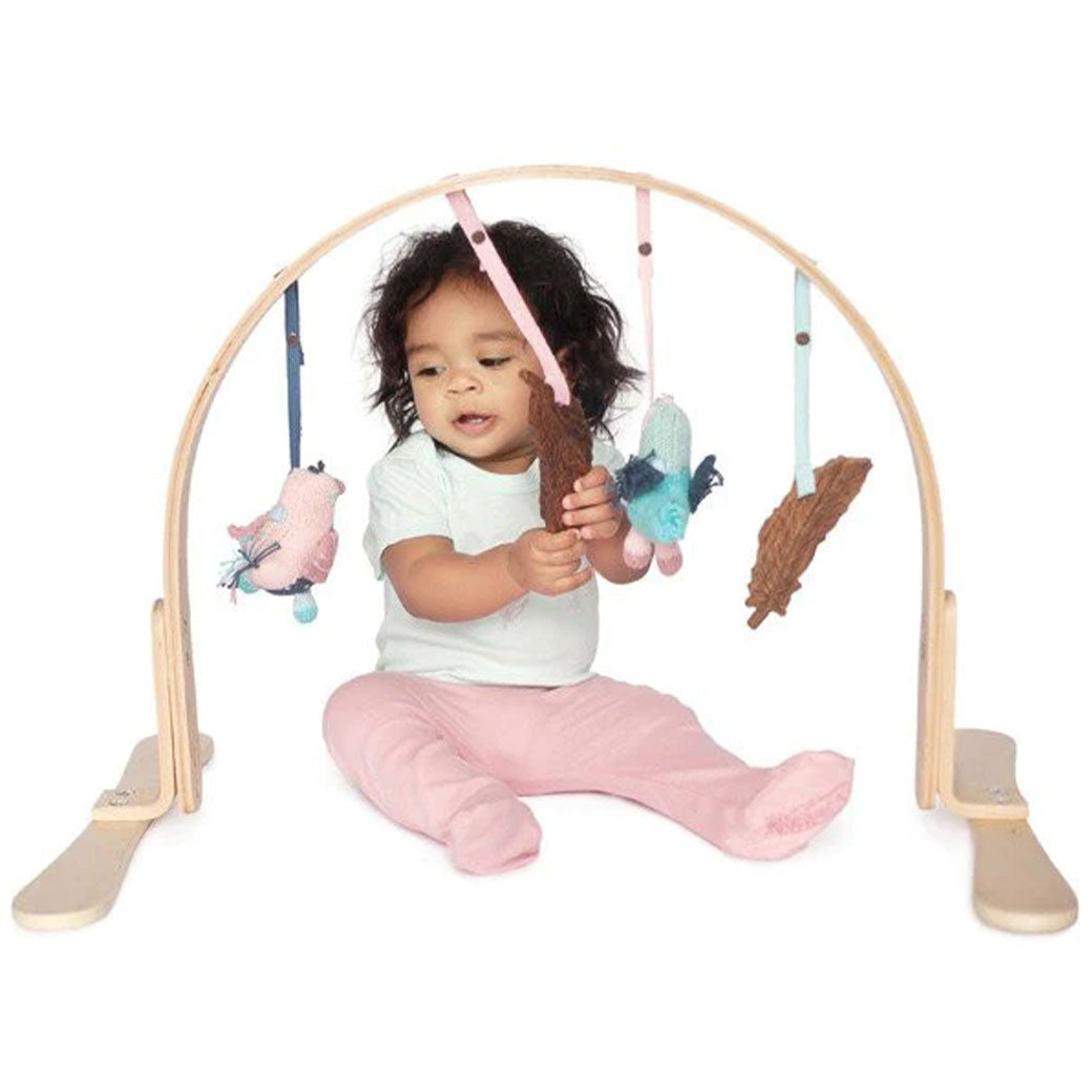 Play Gym