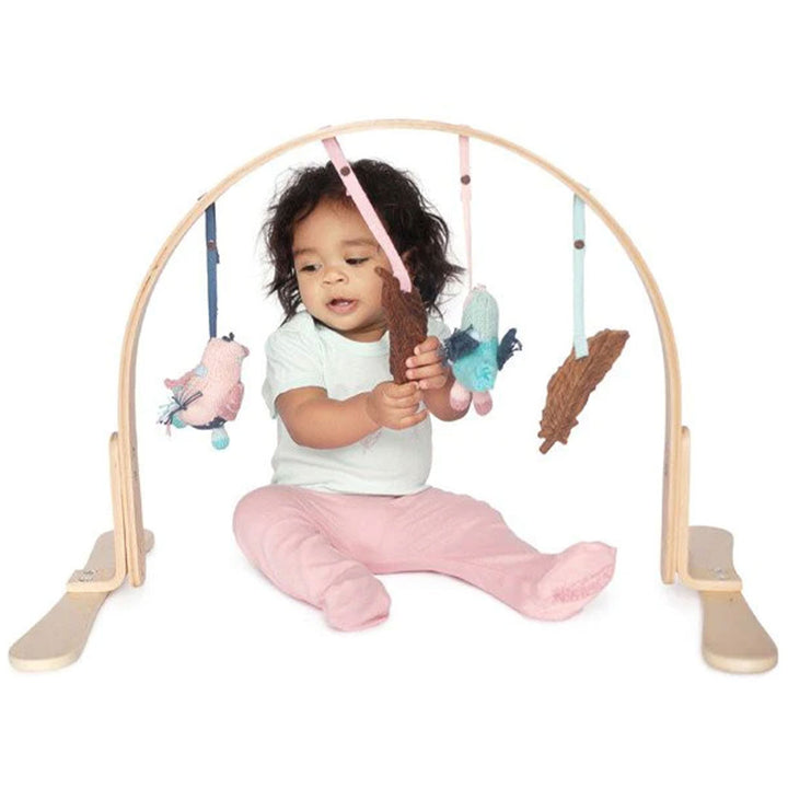 Play Gym