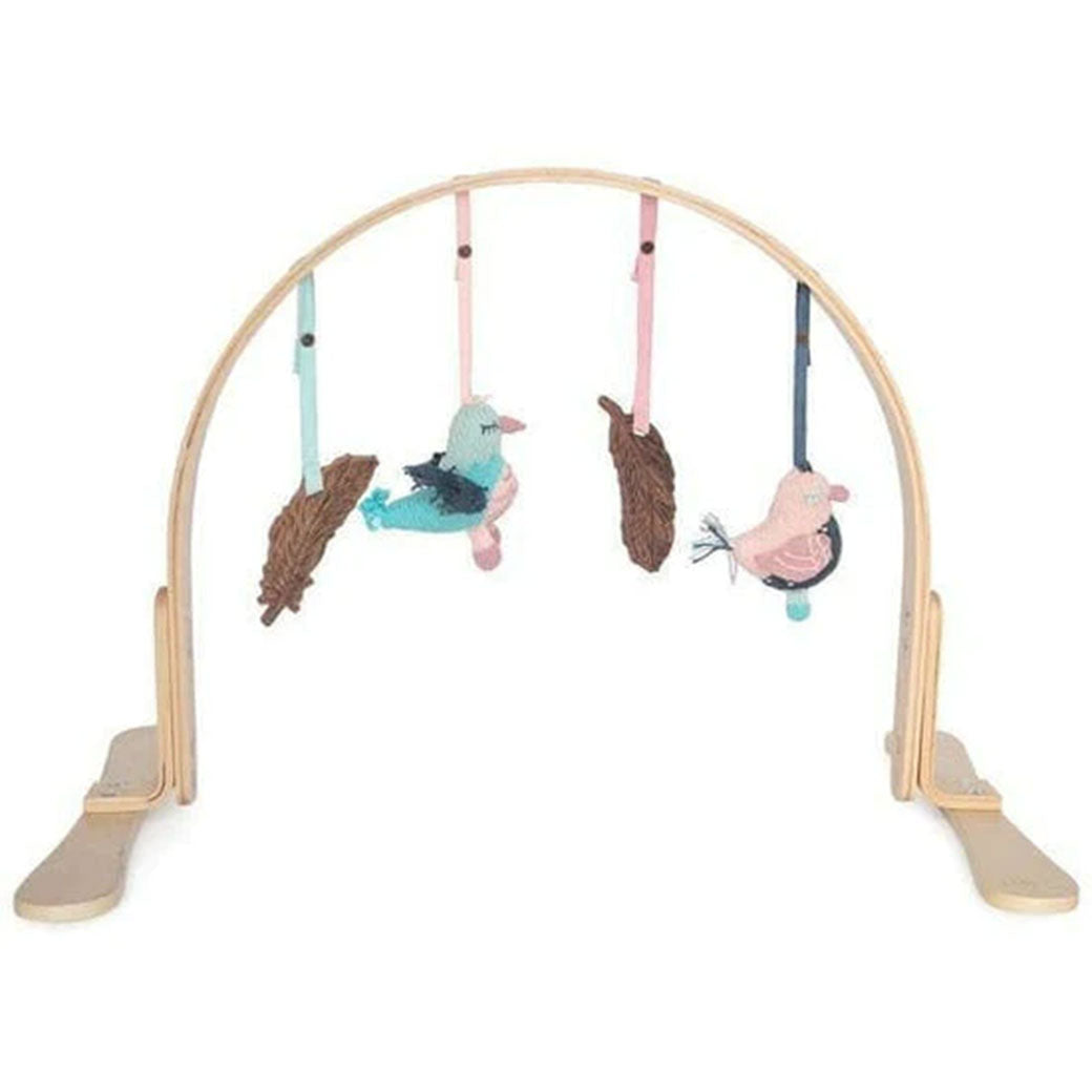 Play Gym