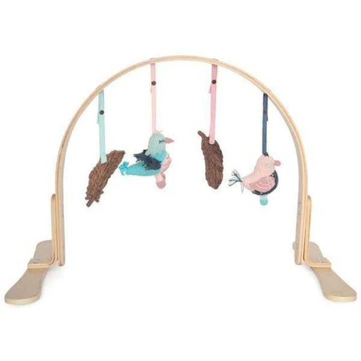 Play Gym