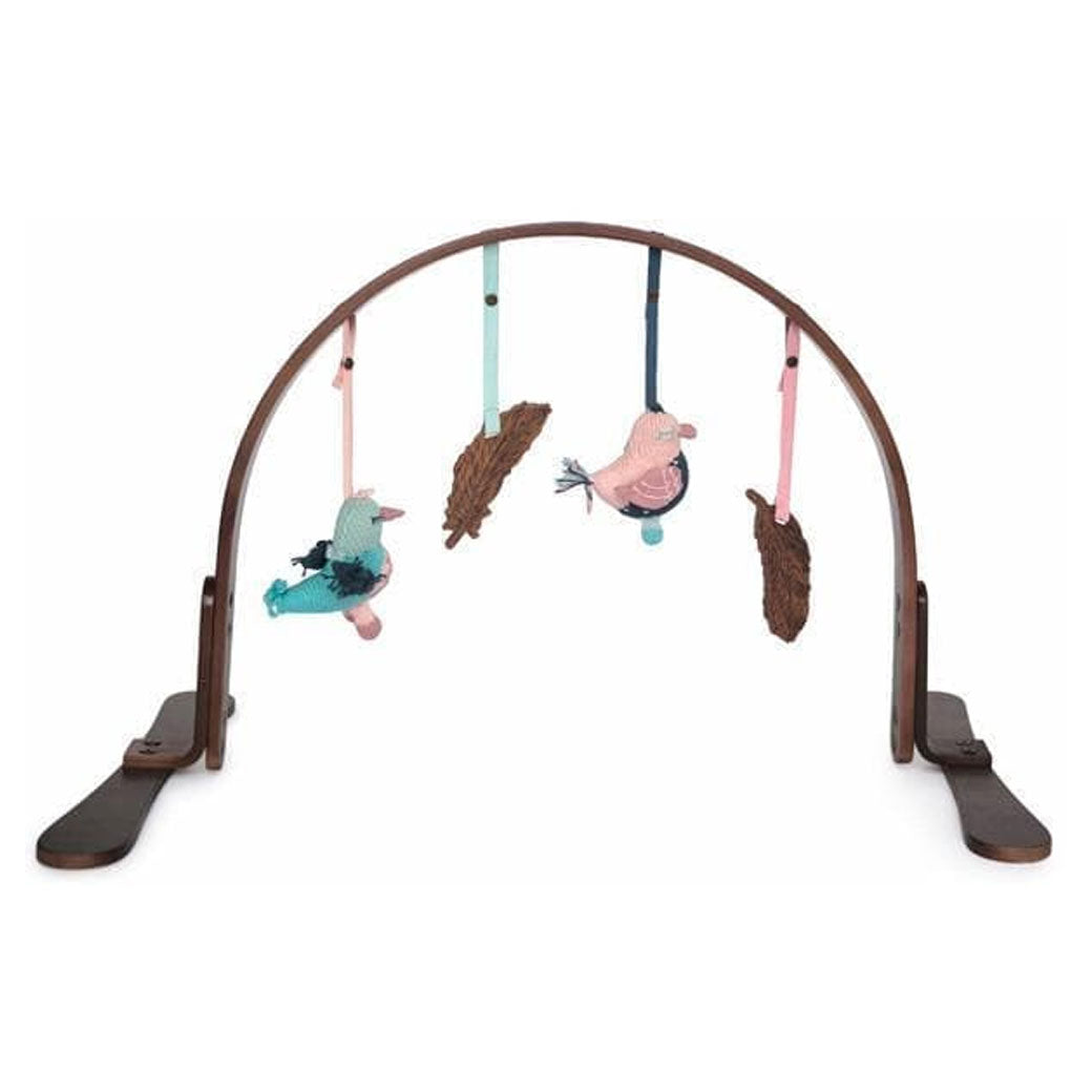 Play Gym
