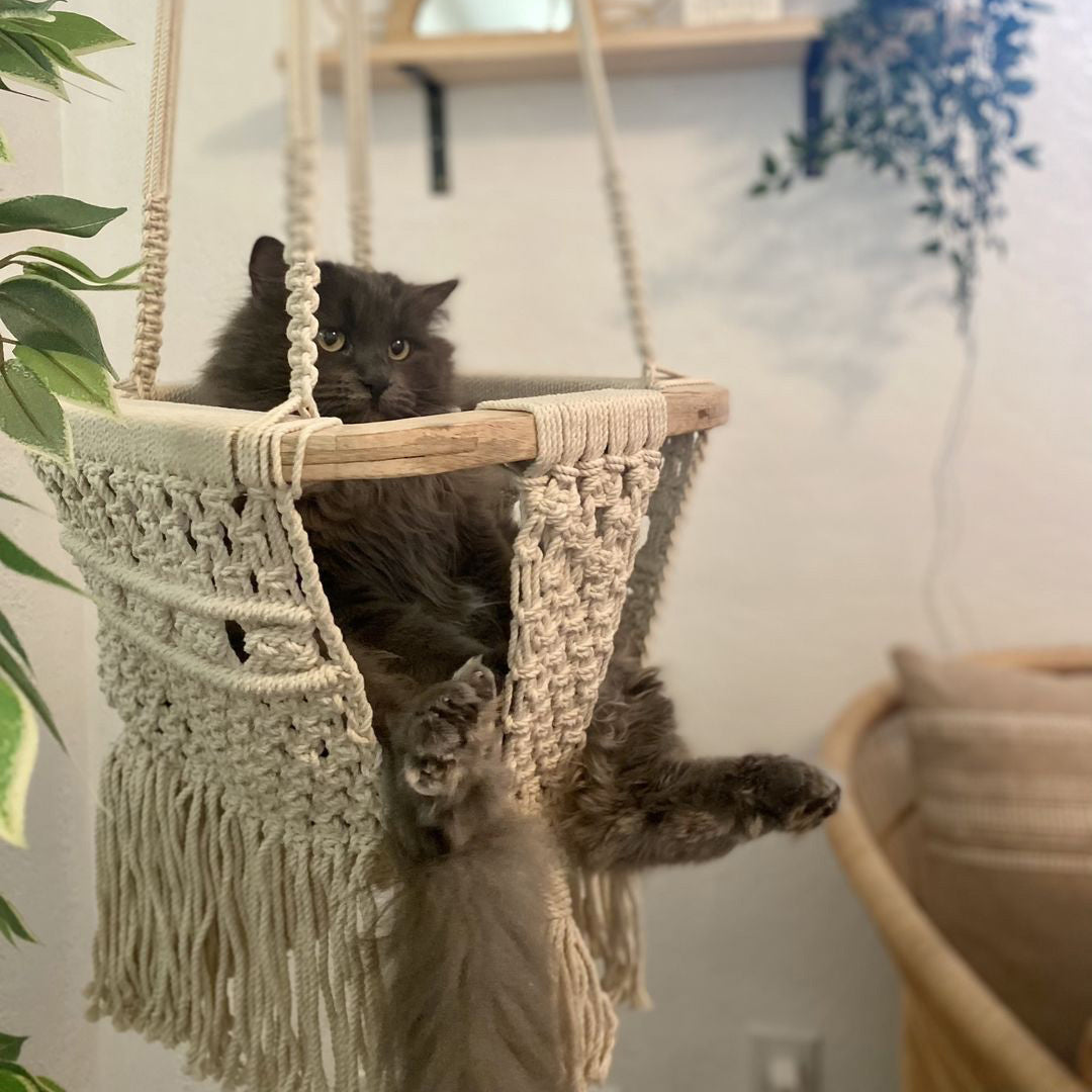 Macrame Swing