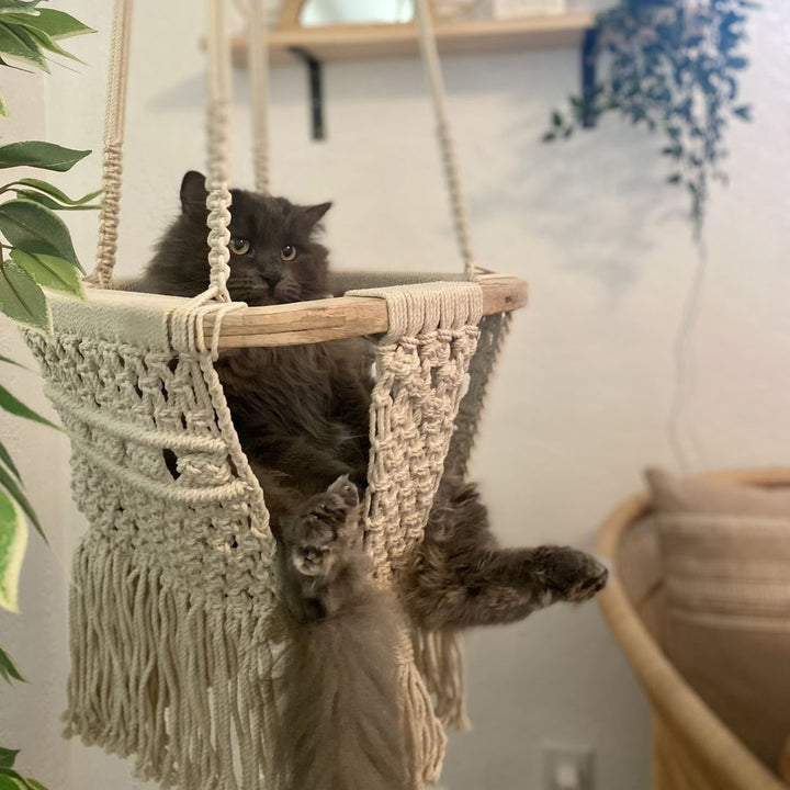 Macrame Swing