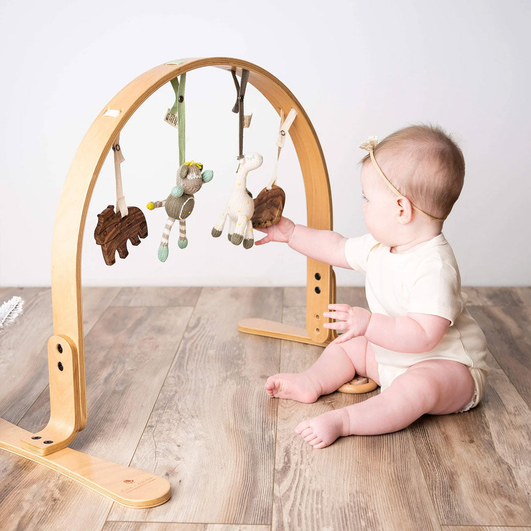 Play Gym + Macrame Swing Bundle