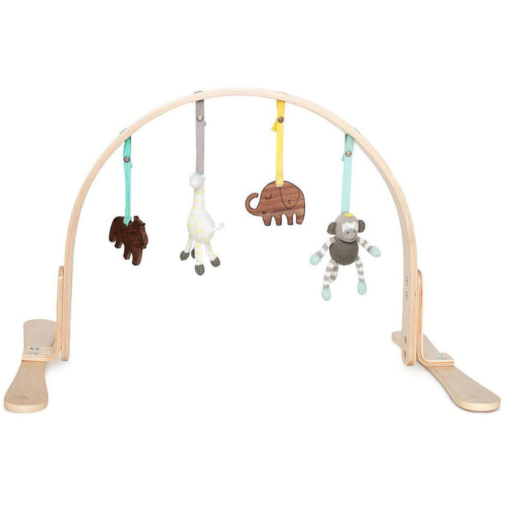 Play Gym