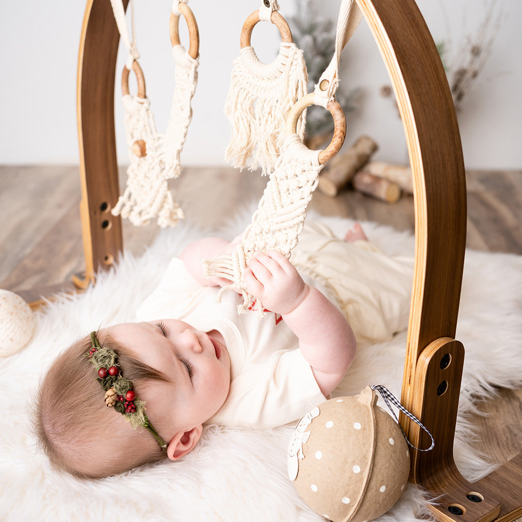 Play Gym + Macrame Swing Bundle