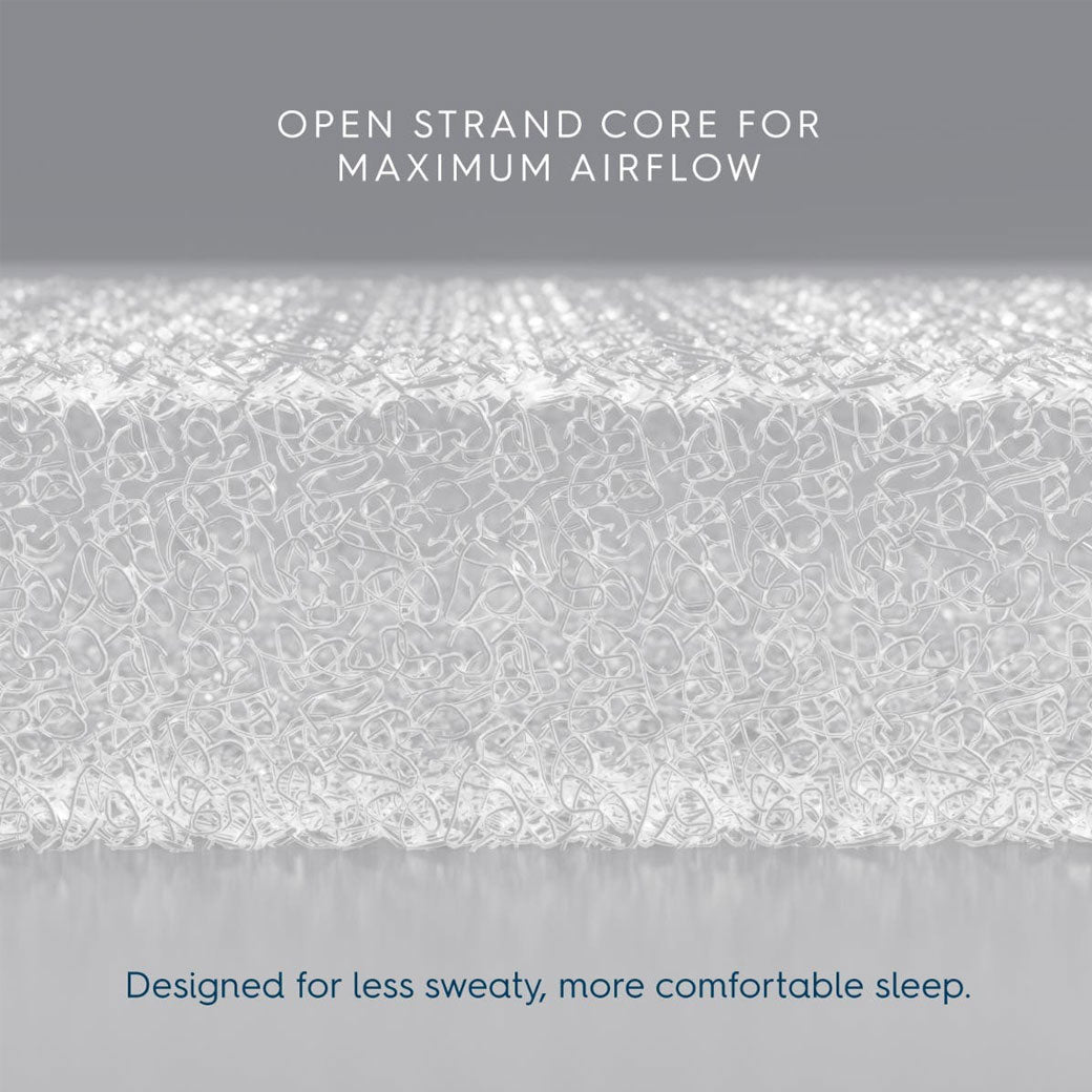 Bassinest 3.0 Soothe + FR-Free Mattress Bundle