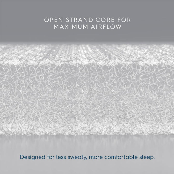 Bassinest 3.0 Soothe + FR-Free Mattress Bundle