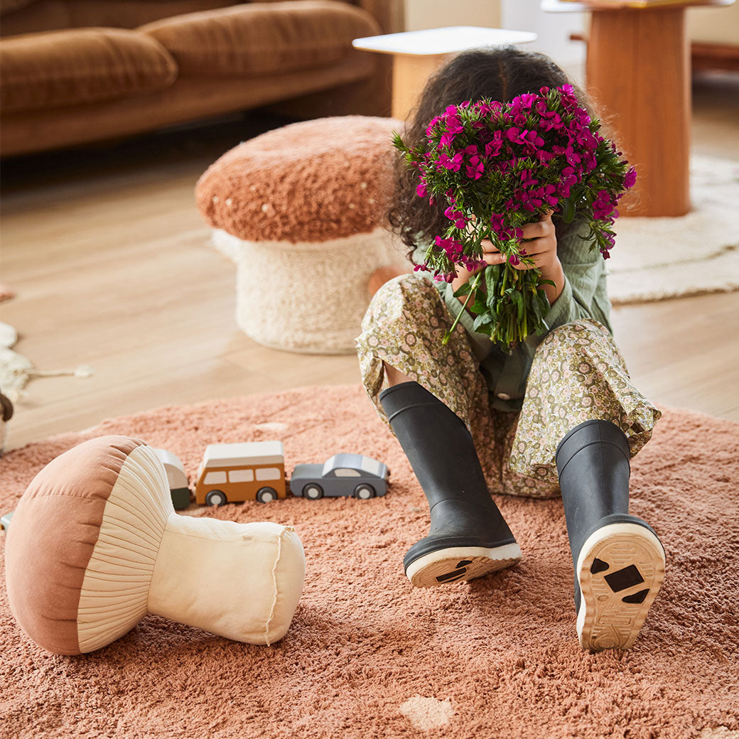 Boletus Cushion