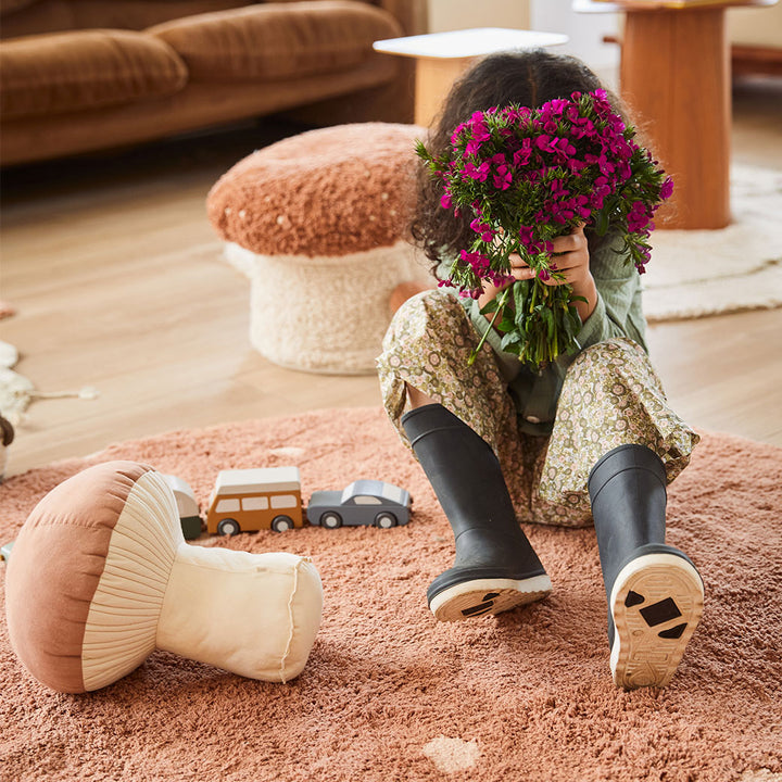Boletus Cushion