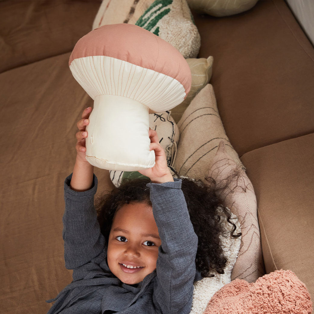 Boletus Cushion