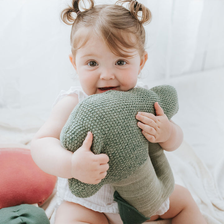 Brucy The Broccoli Knitted Cushion