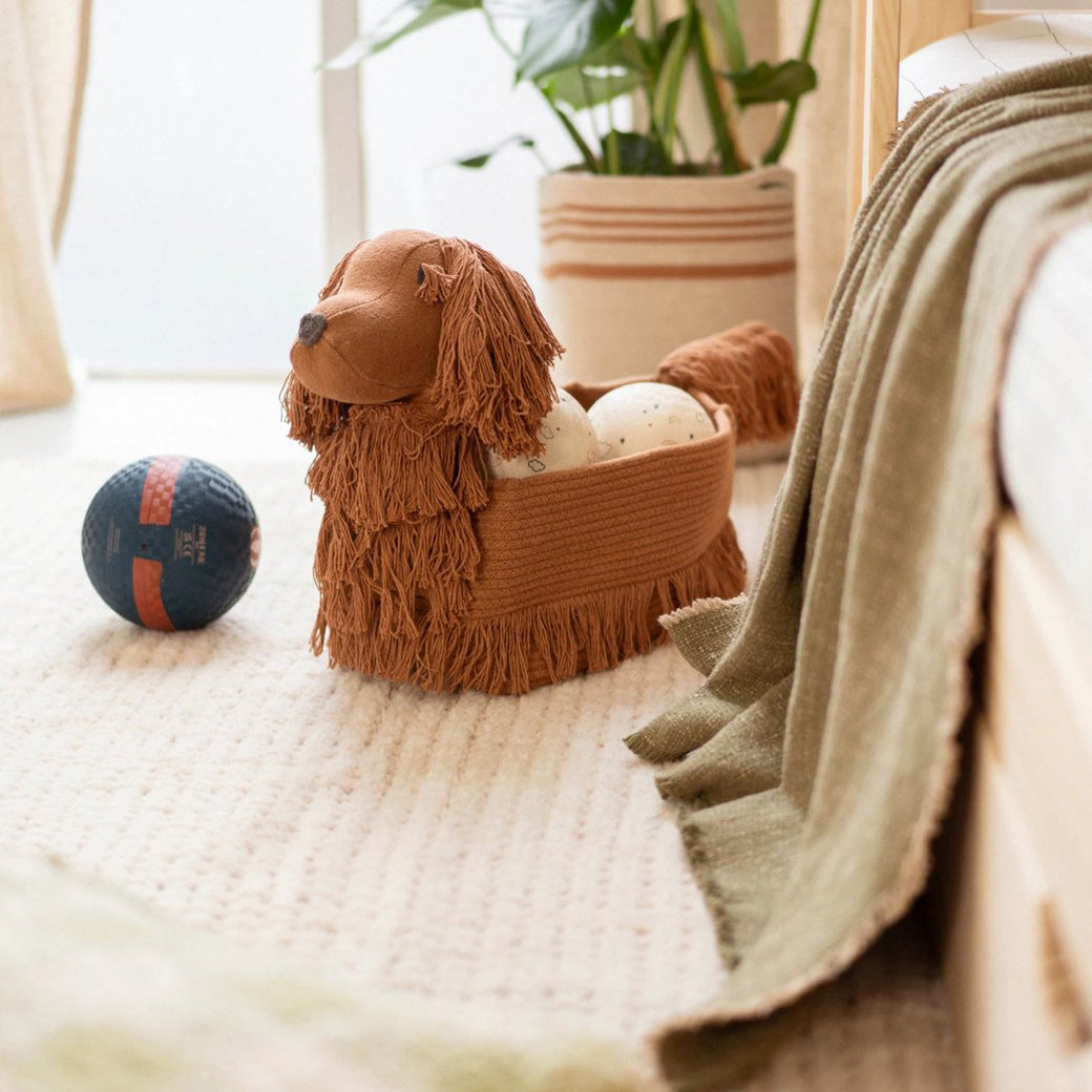 Poppy the Setter Basket