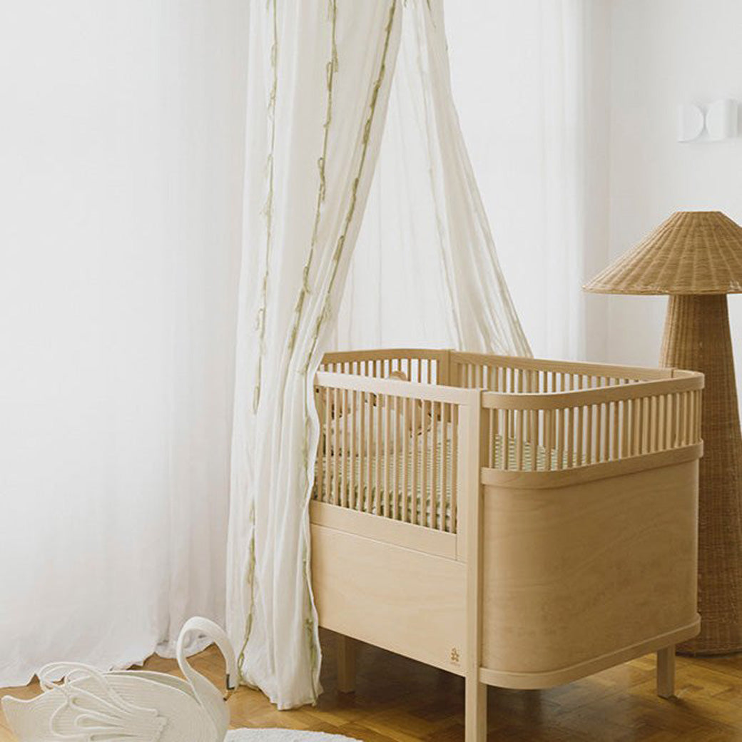 Swan Crepe Canopy