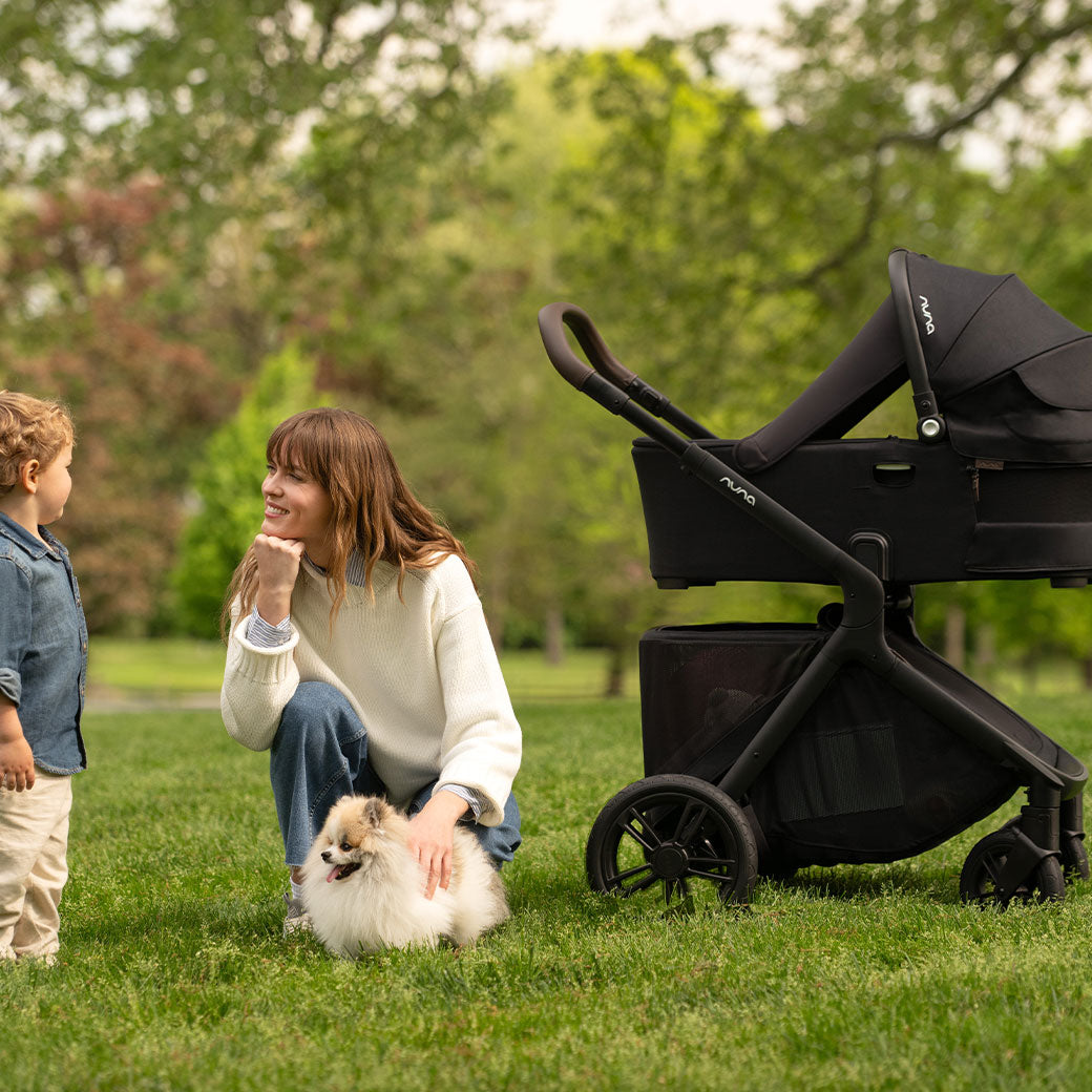 DEMI icon Stroller + PIPA Series Travel System