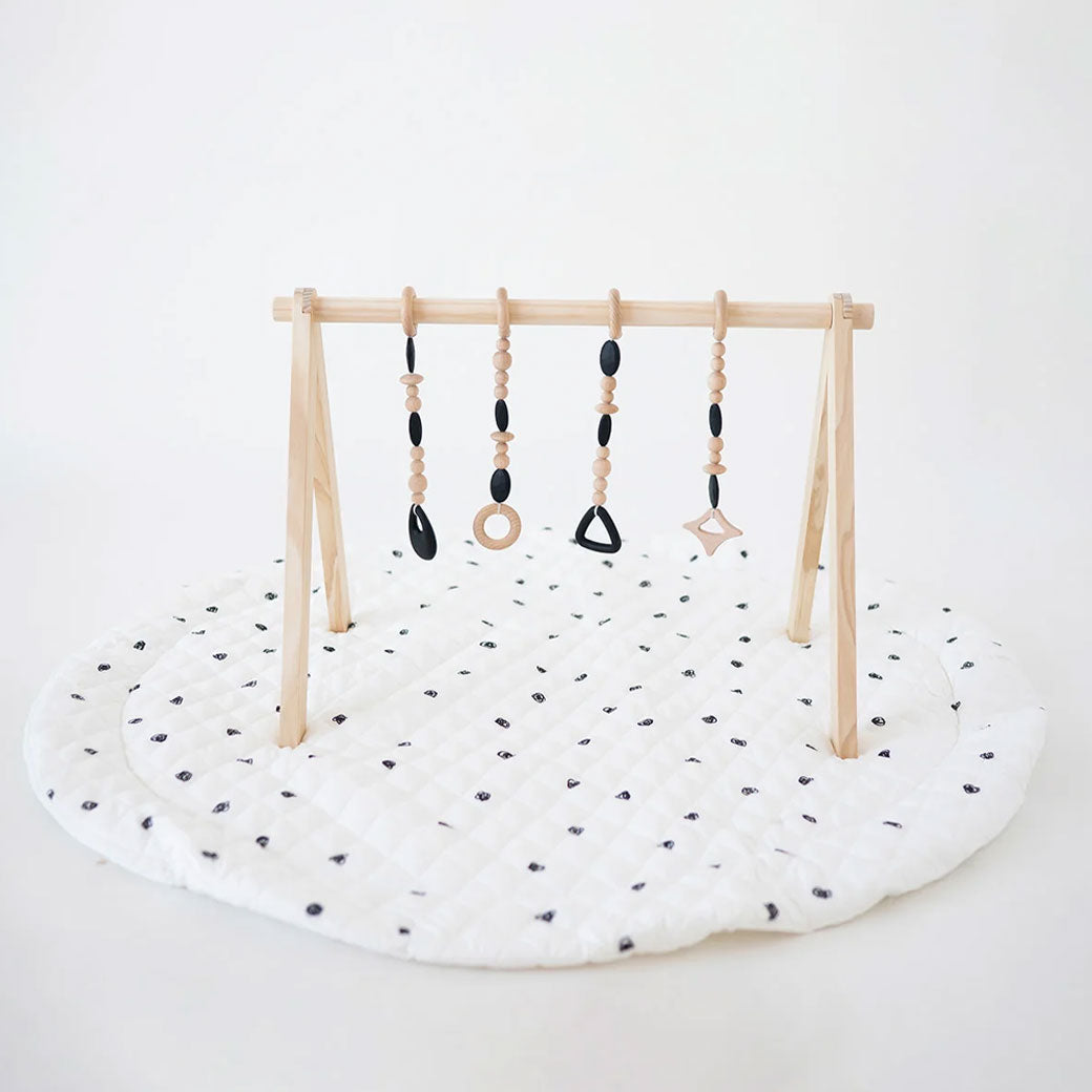 Play Gym Set
