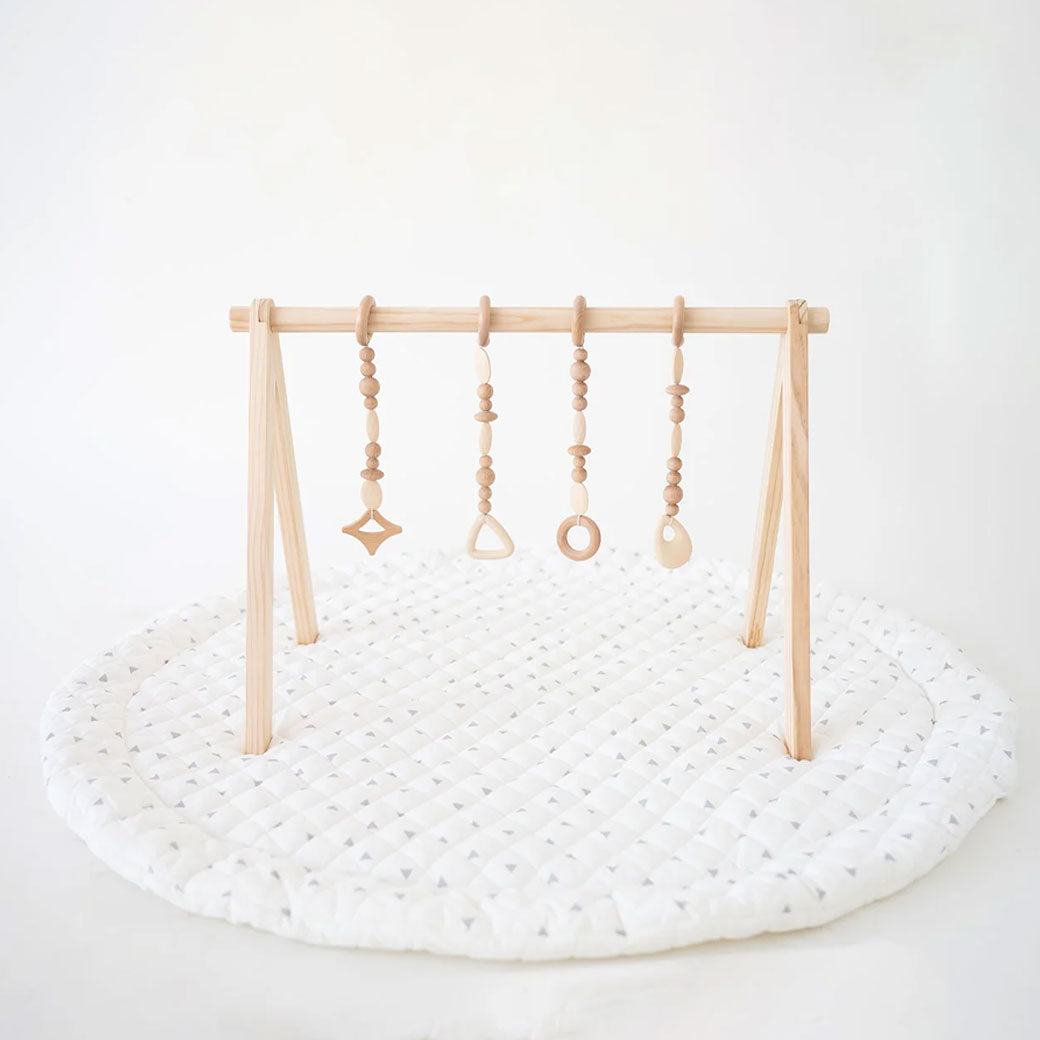 Play Gym Set