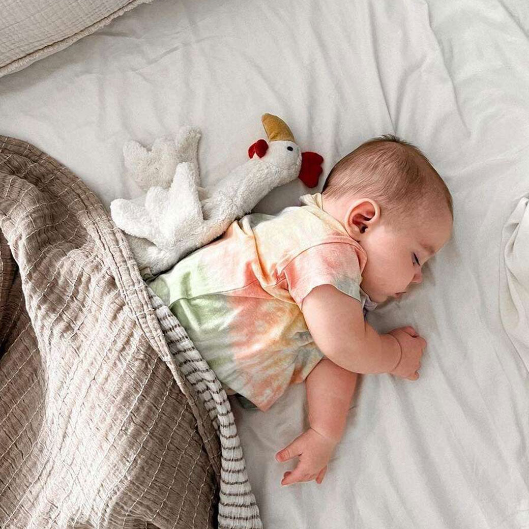Organic Chicken Cuddly Animal
